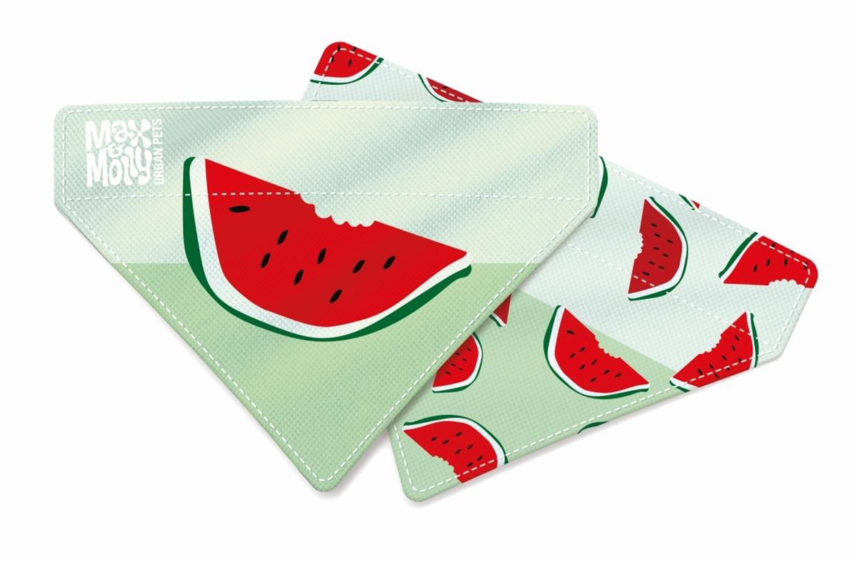 WATERMELON BANDANA