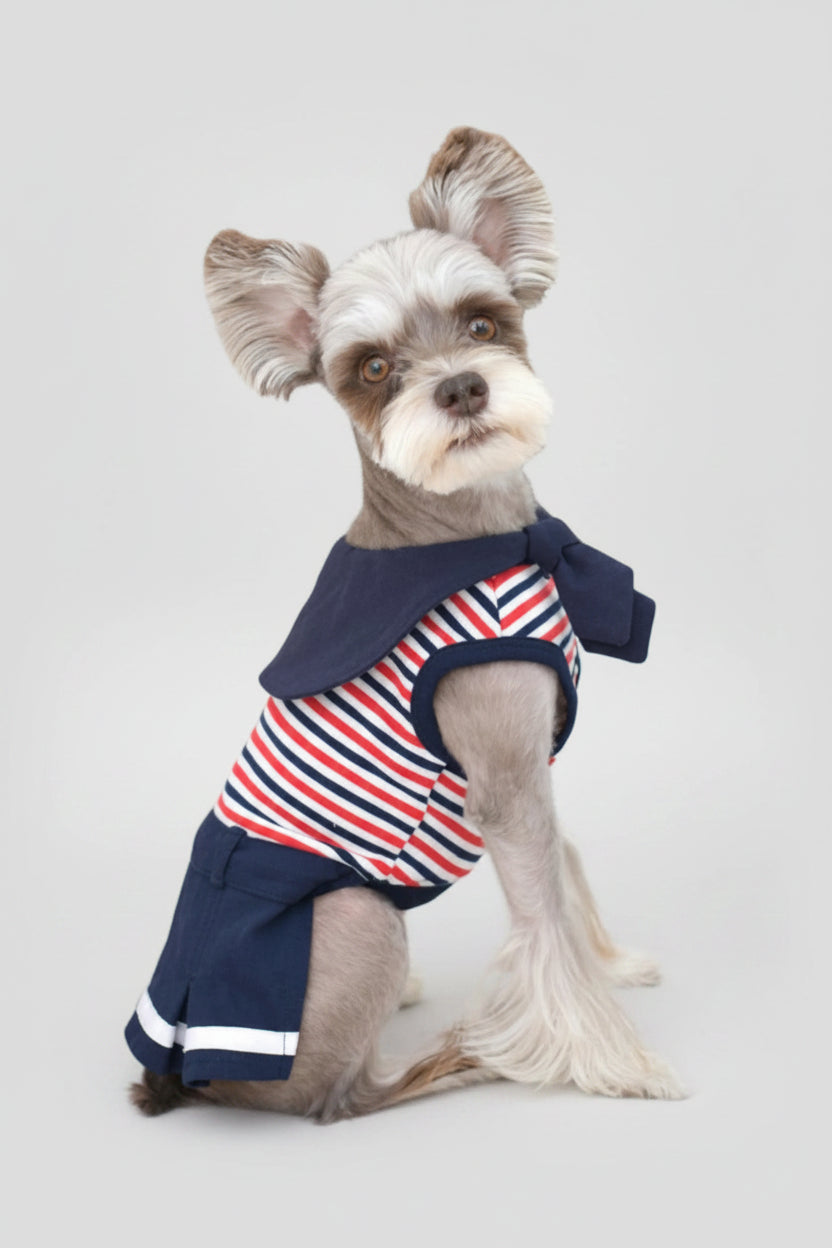 NAUTICAL NAVY