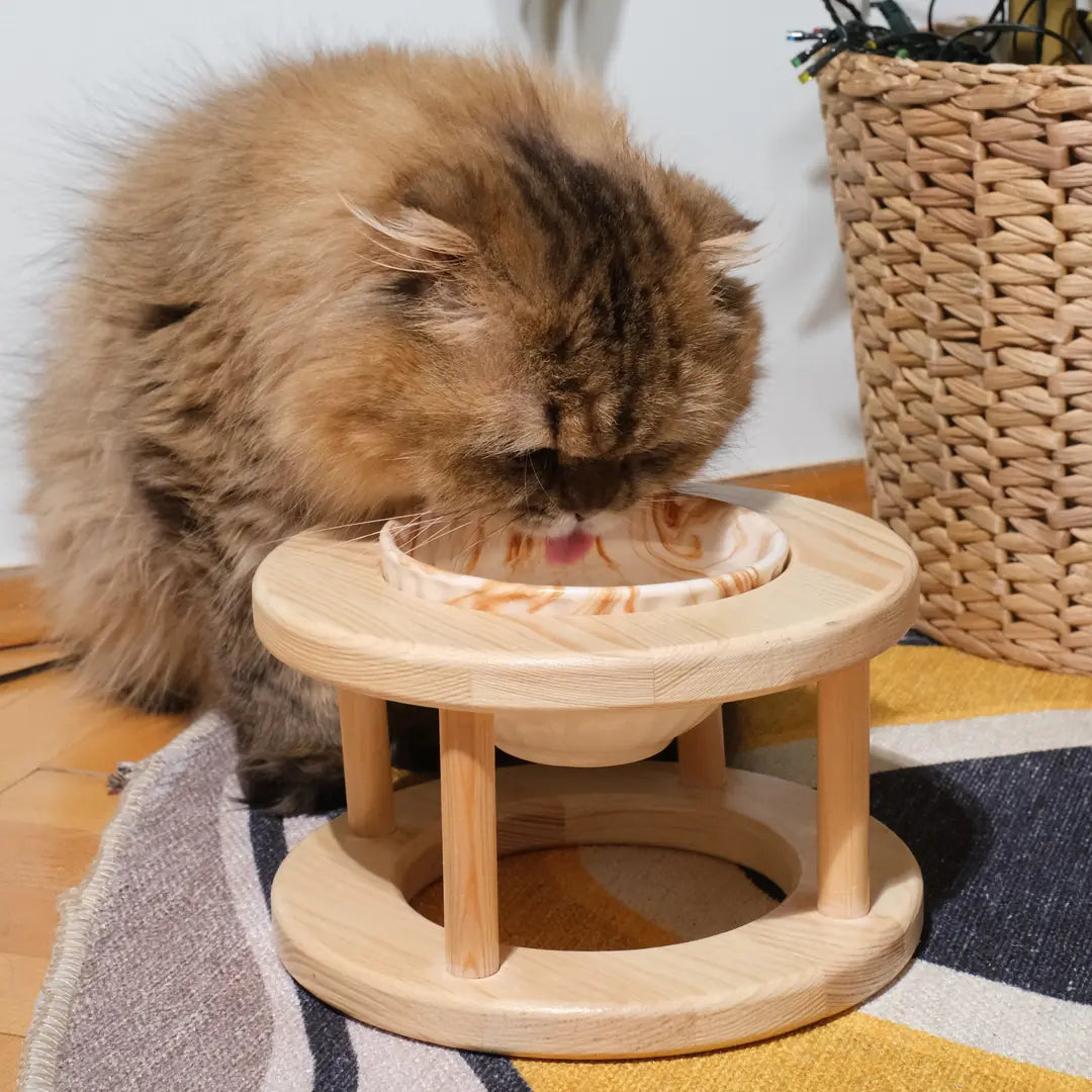 ORBIT - Single Oval Design Cat-Dog Food Bowl