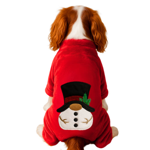 GEDYCO KARDAN ADAM KÖPEK TULUM